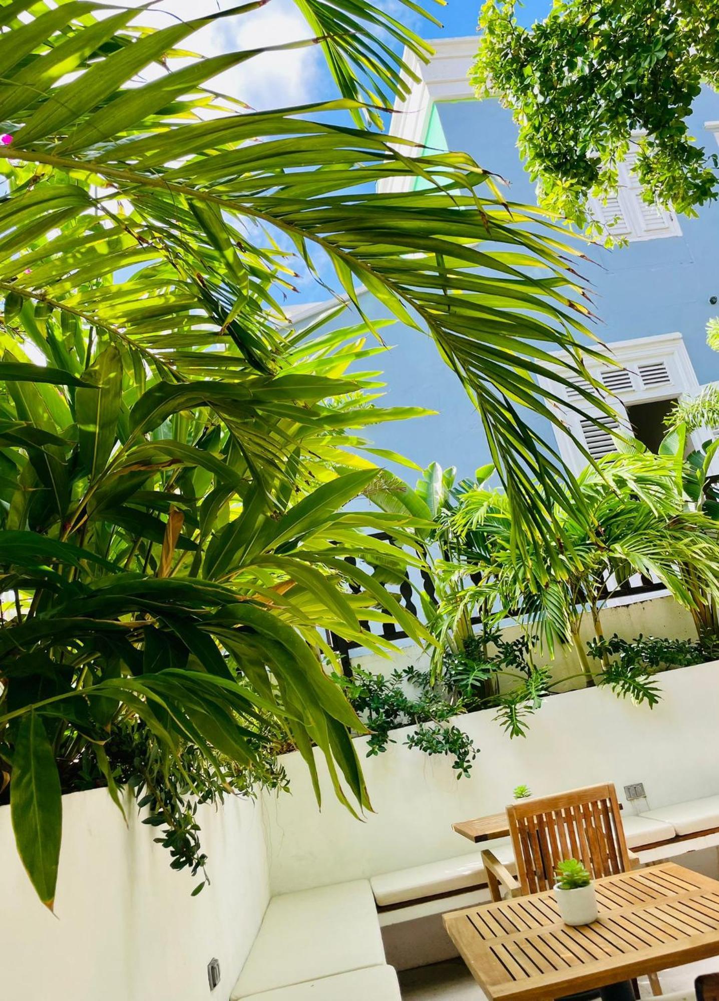 Atelier Skalo Boutique Hotel Willemstad Dış mekan fotoğraf